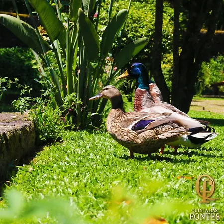 Quinta Fontes Pocas do Monte