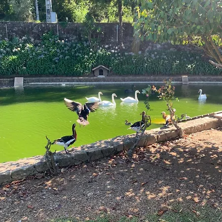 Quinta Fontes Ferienhaus *