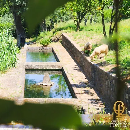 Quinta Fontes Ferienhaus Pocas do Monte