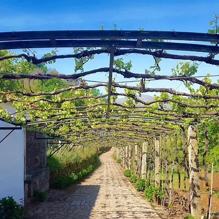 別荘 Quinta Fontes Pocas do Monte