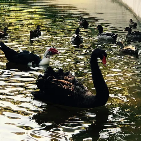別荘 Quinta Fontes