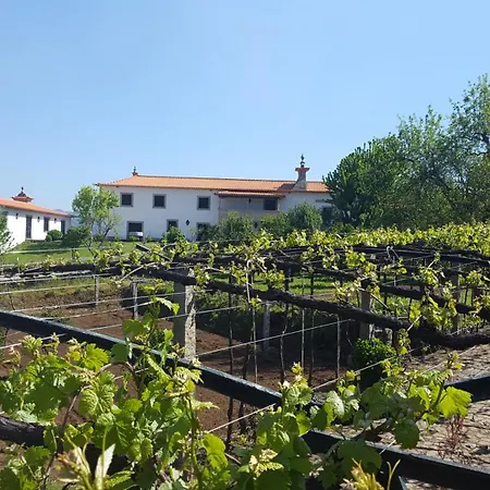 Quinta Fontes 別荘 Pocas do Monte