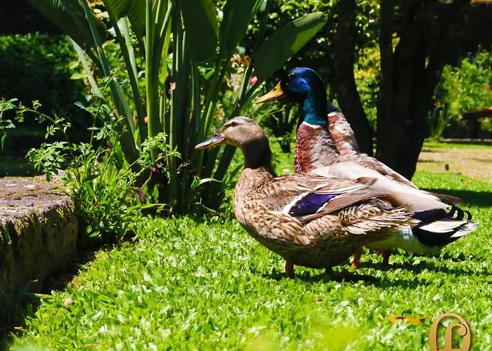Quinta Fontes Pocas do Monte
