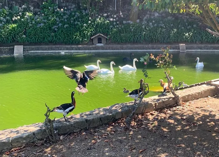 Quinta Fontes Casa vacanze *