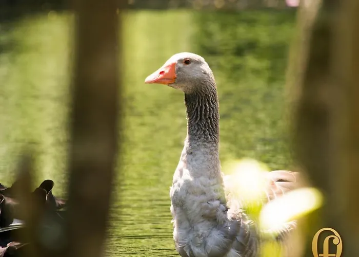 Quinta Fontes Casa vacanze