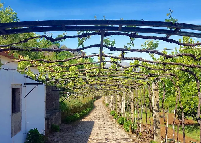 Casa vacanze Quinta Fontes Pocas do Monte