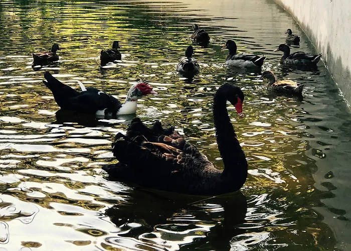 Casa vacanze Quinta Fontes