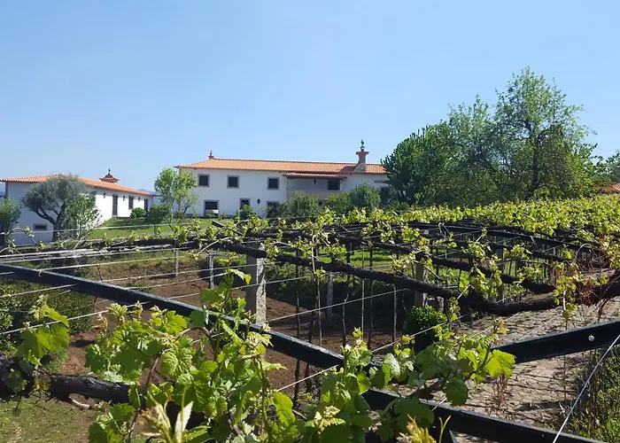 Quinta Fontes Casa vacanze Pocas do Monte